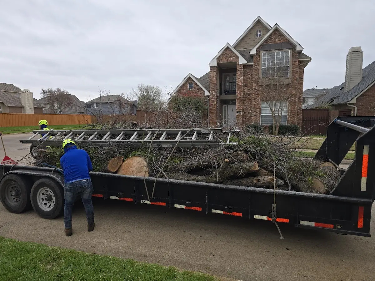 Expert Lot Clearing with proper safety equipment in Sun City
